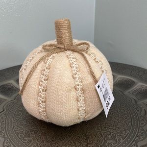 ☀️3/$20 Pumpkin.